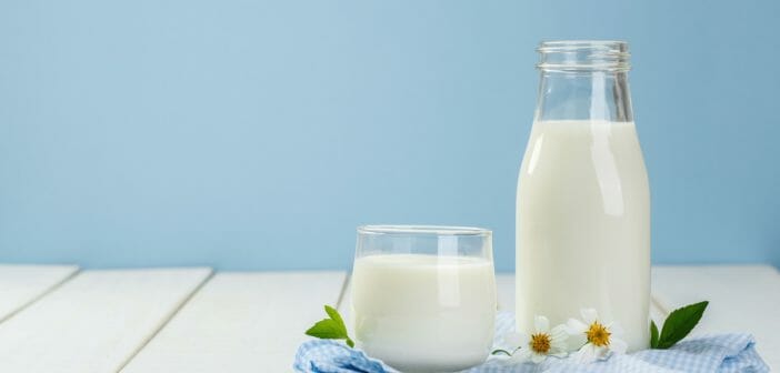 La protéine de lait : idéale pour la pratique de la musculation ?