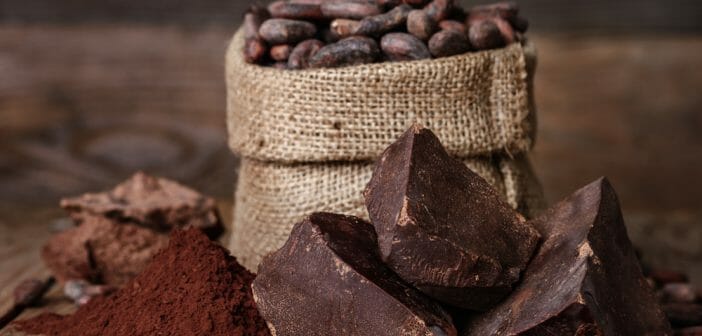 Le chocolat 100% de cacao pour maigrir ?