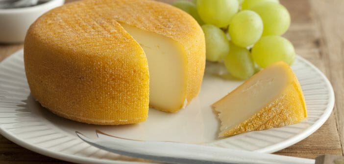Le Port-Salut : un fromage riche en matières grasses ?