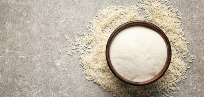 Musculation : les bienfaits de la protéine de riz