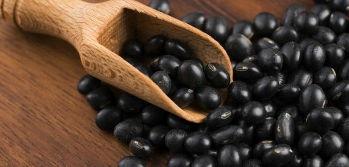 Le soja noir : bienfaits et valeur nutritive de l'haricot urd