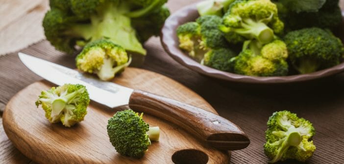 Les brocolis crus : des bienfaits sur la digestion