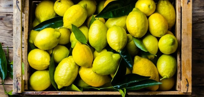 comment-eliminer-la-cellulite-avec-le-citron