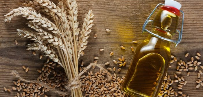 L'huile de germe de blé pour lutter contre la cellulite