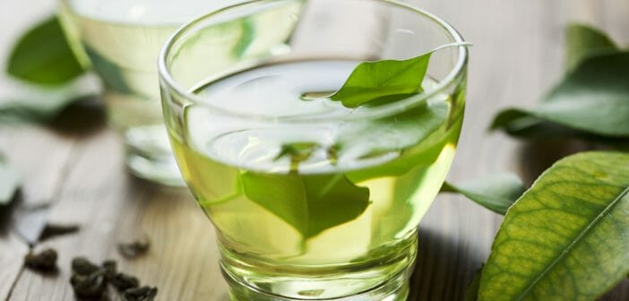 Le thé vert chinois : un véritable élixir minceur - Le blog